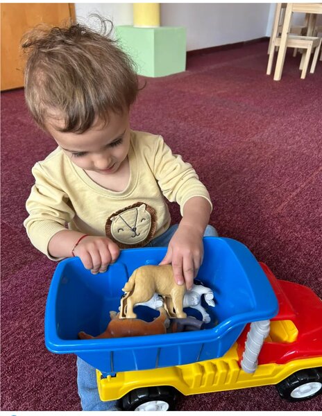 Cresa/ gradinita Amintiri din copilarie sector 3 Parc IOR